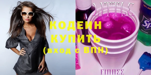 индика Краснослободск