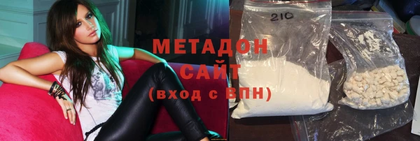 индика Краснослободск
