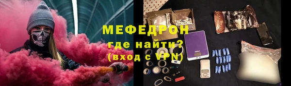 индика Краснослободск