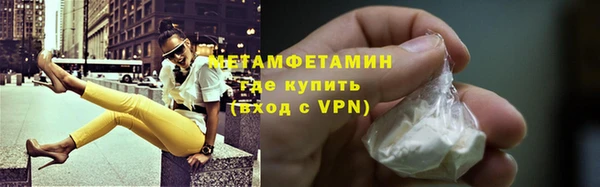 индика Краснослободск