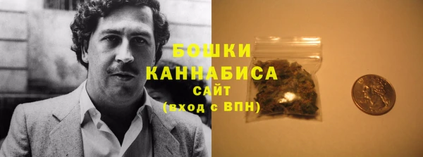 индика Краснослободск