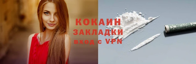индика Краснослободск