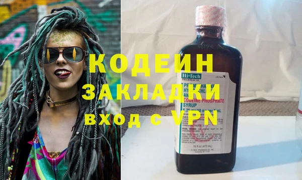 индика Краснослободск
