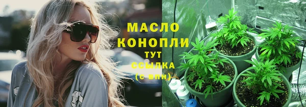 индика Краснослободск