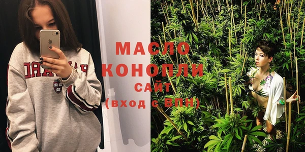 индика Краснослободск