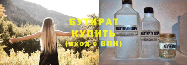 индика Краснослободск