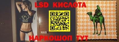 мяу мяу мука Апшеронск