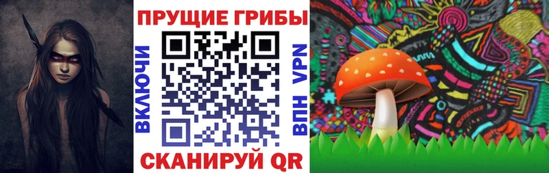 купить наркотик  мега сайт  Псилоцибиновые грибы Psilocybine cubensis  Калининград 