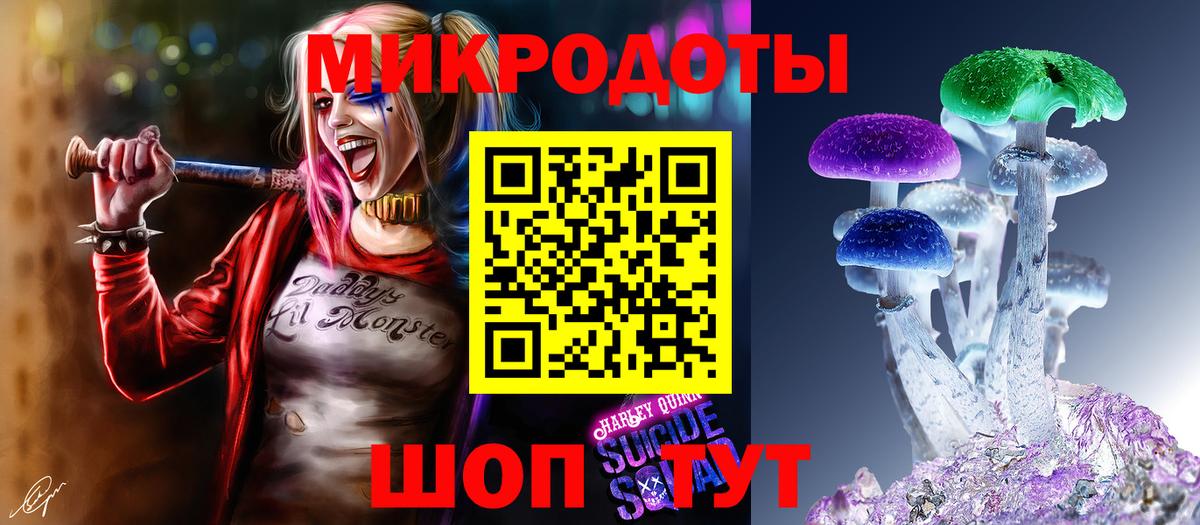 Галлюциногенные грибы мухоморы Калининград