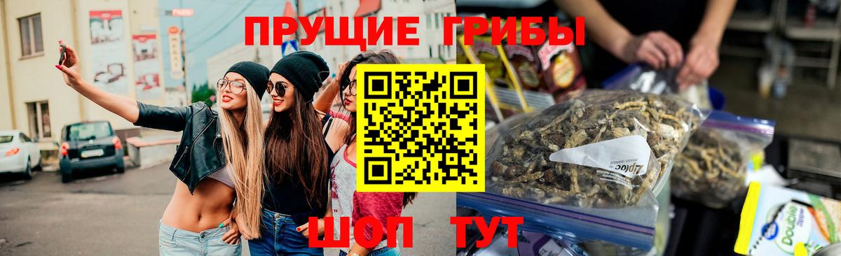 Галлюциногенные грибы GOLDEN TEACHER  Псилоцибиновые грибы мухоморы  Калининград 