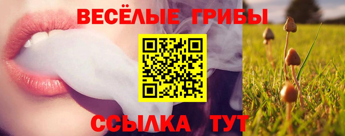 Галлюциногенные грибы Magic Shrooms  Псилоцибиновые грибы MAGIC MUSHROOMS  Калининград  Вход с VPN 